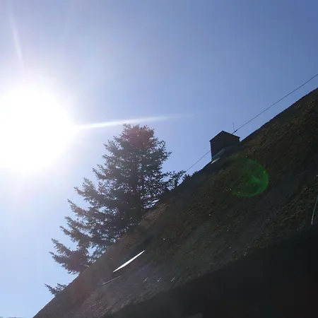 Hébergement de vacances Alte Foersterei Mustin (Schleswig-Holstein)