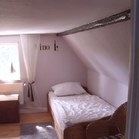 Alte Foersterei 別荘