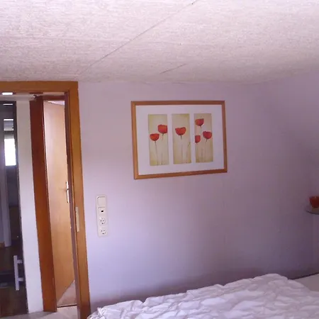 Alte Foersterei 別荘 Mustin